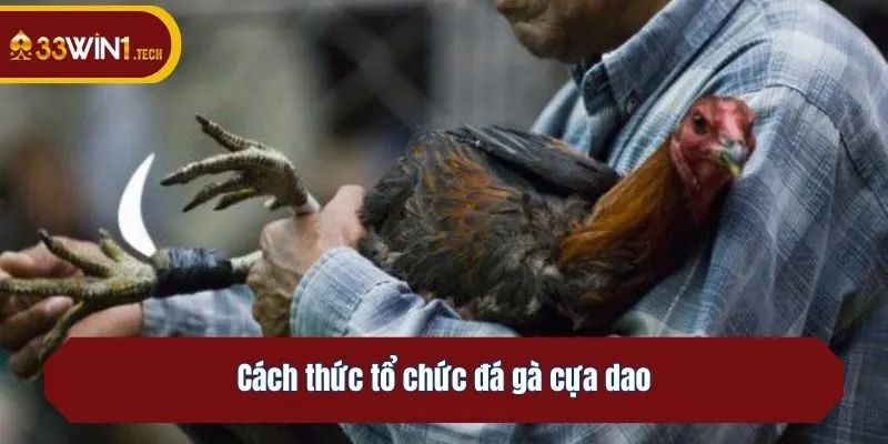 Cách thức tổ chức