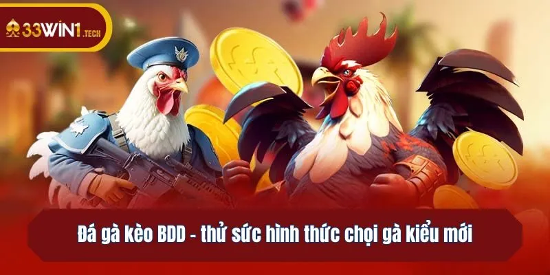 Đá gà kèo BDD - thử sức hình thức chọi gà kiểu mới