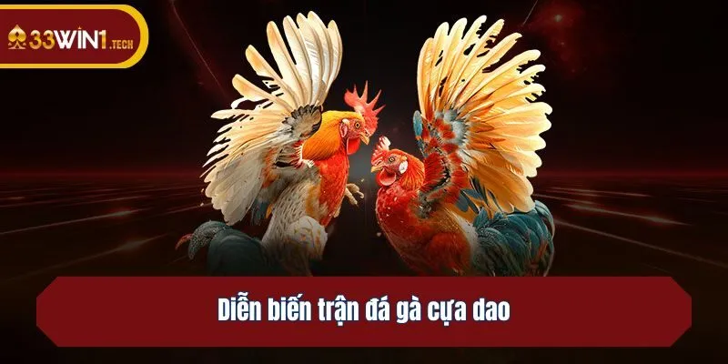 Diễn biến trận đá gà cựa dao