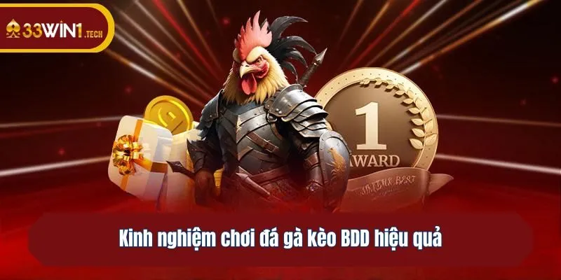 Kinh nghiệm chơi đá gà kèo BDD hiệu quả