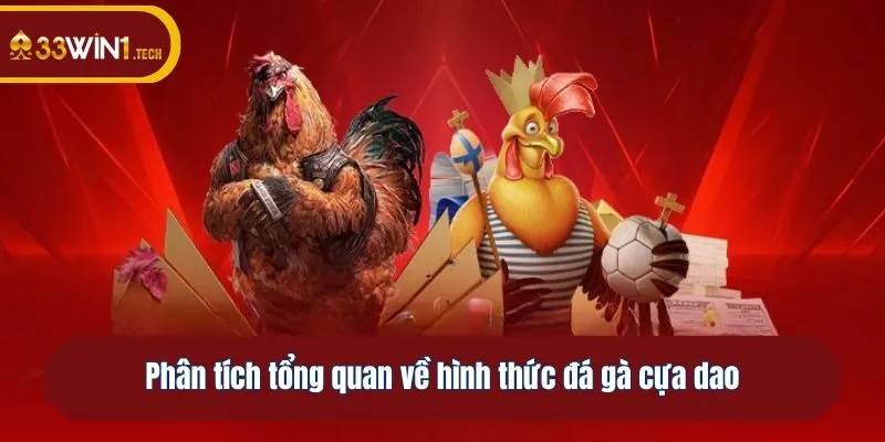 Phân tích tổng quan về hình thức đá gà cựa dao